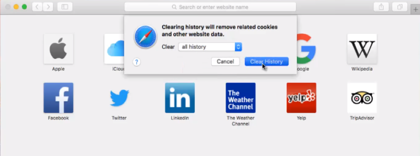 clear browser history safari