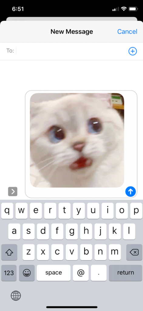 Send photos with iMessage