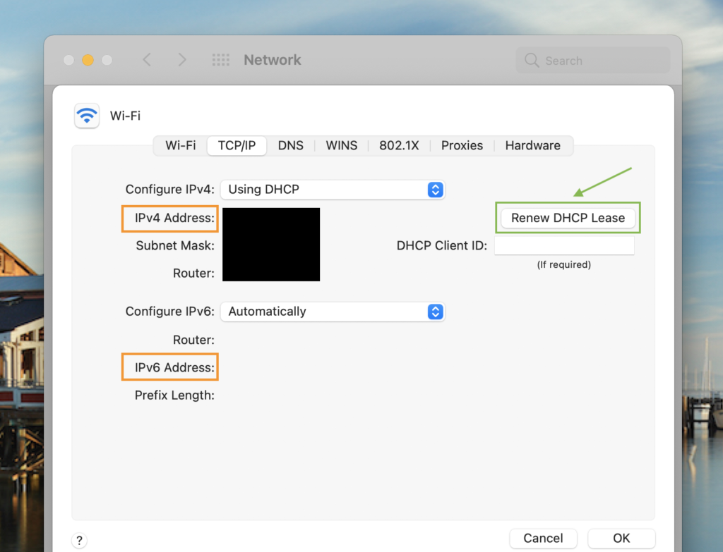 mac ip changer