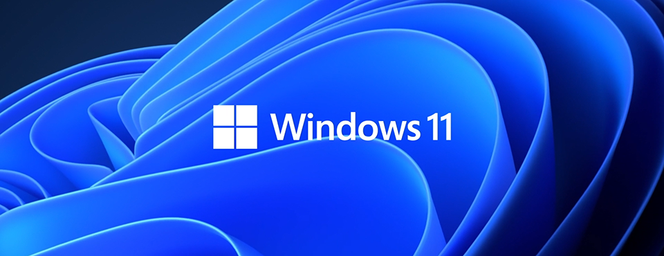 windows-11-wall-paper