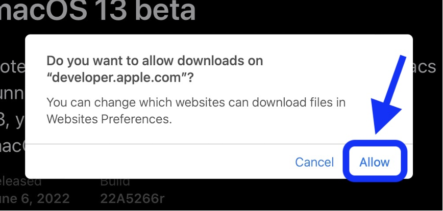 allow download
