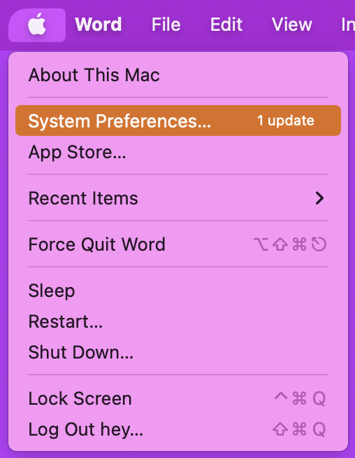 system preferences