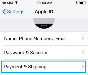 payment-shipping-option-iphone
