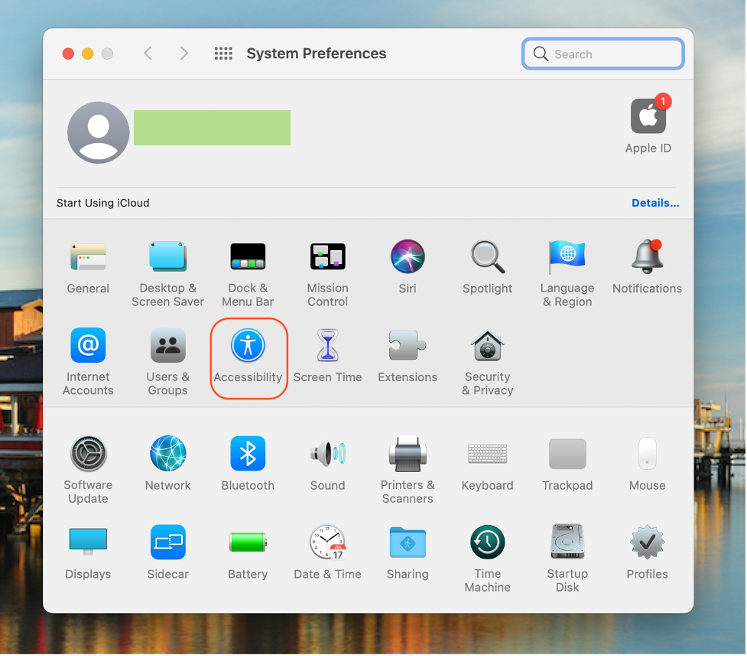 Open System Preferences and select Accessibility.